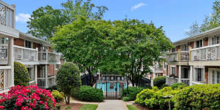 Beautiful 2bd/1ba Condo in VA Highlands w/ Balcony and Pool!! Gallery 1