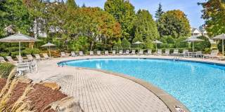 Affordable Housing - Elan at Mallard Creek Apartment Homes Gallery 29