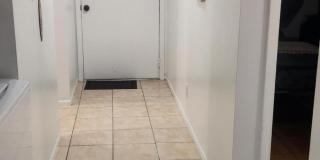 520 Palm Springs Boulevard unit: 503 Gallery 14