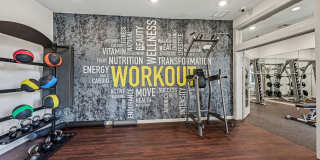 Haven at Main Gallery 7