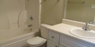 Beautifully 3-Bedroom 2-Bath Home Rental Gallery 12