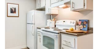 Sofi Dublin Gallery 2