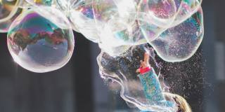 Coral Palms at Oakleaf Gallery 34