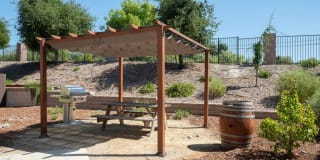 ReNew Atascadero Gallery 1