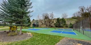 307 East Grove Creek Lane Gallery 16