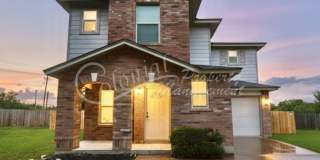 NEW IN MANAGEMENT - AVAILABLE NOW! Gallery 1