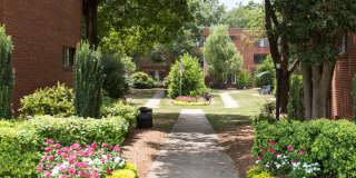 Cameron Court & Shelton Gallery 4