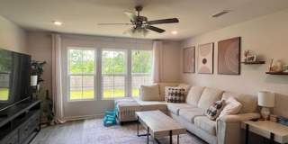 Branch Point S/D Gallery 19