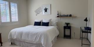 29657 Starring Gallery 17