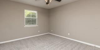 Sussex Downs Gallery 27