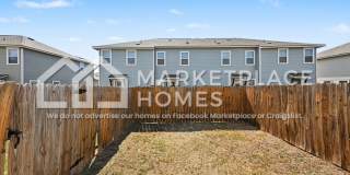 16917 Dancing Ava Gallery 18