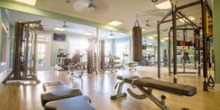 The Asher at Sugarloaf Gallery 19