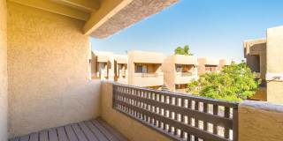 Papago Crossing Gallery 15