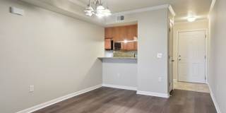 Charming 2BR/2BA Ground Floor Townhouse in Westminster Gallery 4