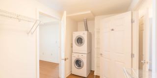 The Veridian Gallery 37