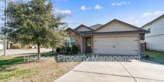 15502 Gray Catbird Gallery 1