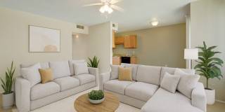 AVALON SPRINGS Gallery 1