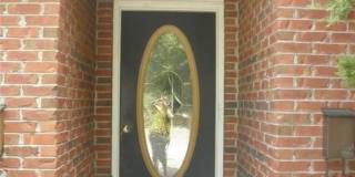 3374 AUDUBON Road 3374 AUDUBON Road Gallery 1