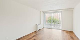 Hopkins House Gallery 3