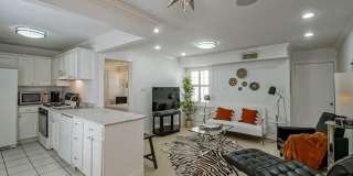 1323 DAUPHINE Street Gallery 4