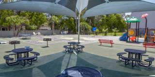 Royal Breeze Gallery 39