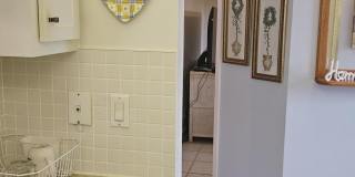 3138 Via Poinciana Gallery 16