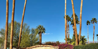 43376 Cook Street unit: 88 Gallery 1