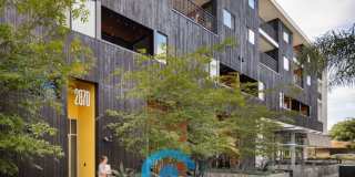 The Louie Gallery 21