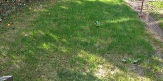 1812 North Croskey Street Gallery 9