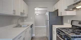 Cinnamon Run at Peppertree Farm Gallery 3