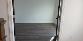 3296 Angora Alley Gallery 1