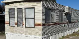 64 Sylvia St Gallery 1