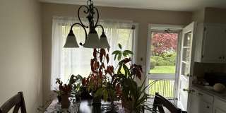 25 Colonial Dr Gallery 6