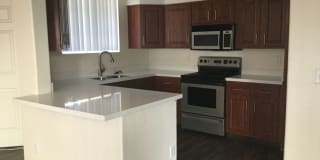 The Palms Gallery 12