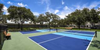 The Lucille Apartments Gallery 13