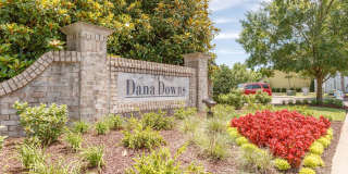 Dana Downs Gallery 21
