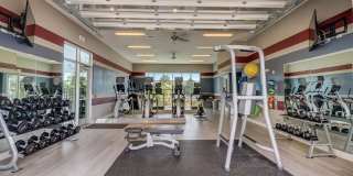 Springs at Hamburg Gallery 18