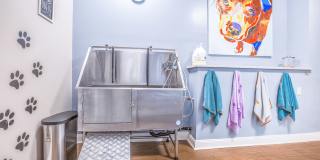 Affordable Housing - Elan at Mallard Creek Apartment Homes Gallery 48