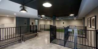 Camden Carolinian Gallery 34