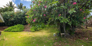 51 Hanapepe Loop Gallery 23