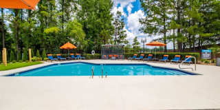 The Avenues of South Hoover Gallery 2