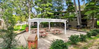 Vistas of Annadale Gallery 25