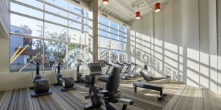 Angelene Apartments Gallery 22