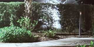 8500 Violeta Street Gallery 24