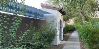 Downtown Phoenix Gallery 26