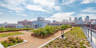 Second and Delaware Gallery 18