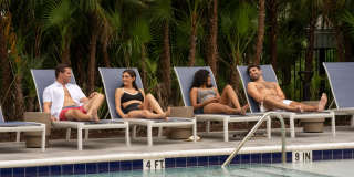 Tortoise One Gallery 31