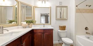 Vinoy St Johns Gallery 21