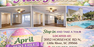 Summer Chase Gallery 8