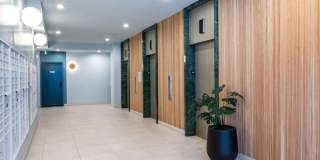 The Arden Gallery 18